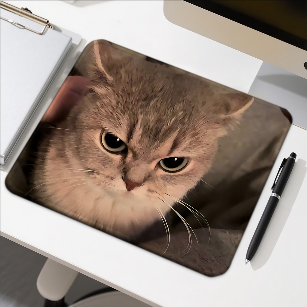 Funny Cat Expressions Computer - Gaming Accessories Companies reseña y precio