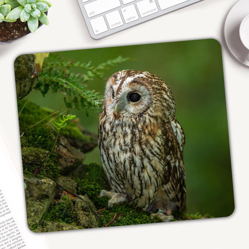 Cute Animal Owl Gaming Mouse P - Gaming Accessories On Sale reseña y precio