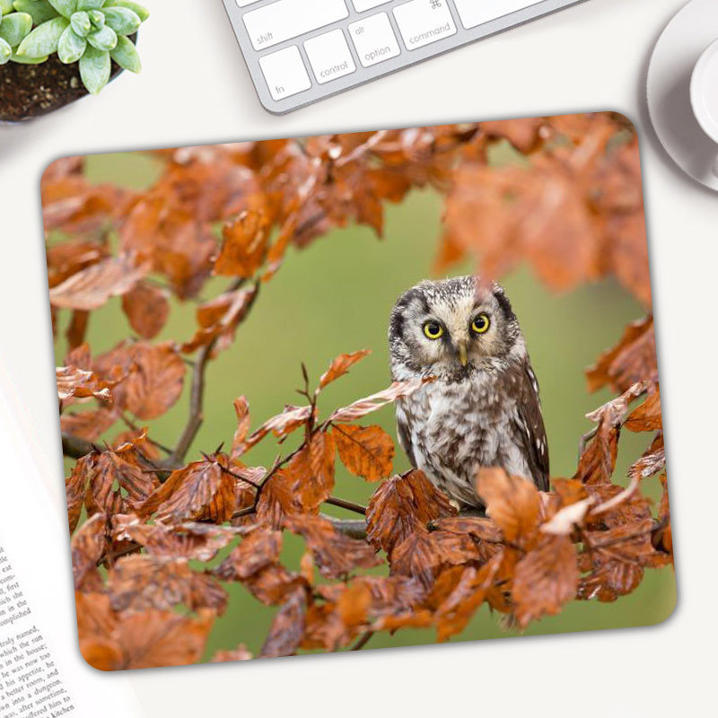 Cute Animal Owl Gaming Mouse P - Gaming Accessories On Sale reseña y precio