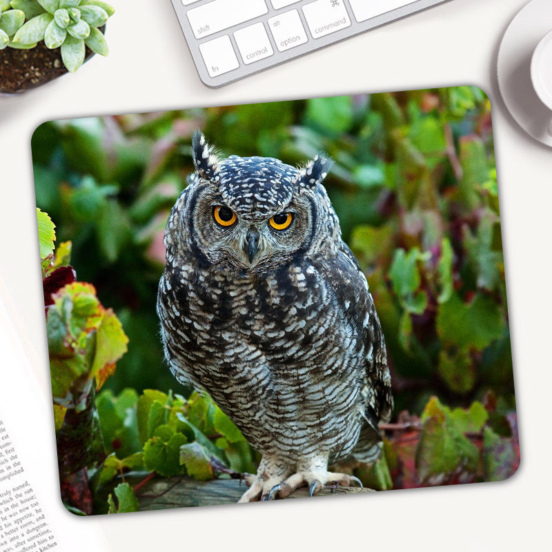 Cute Animal Owl Gaming Mouse P - Gaming Accessories On Sale reseña y precio