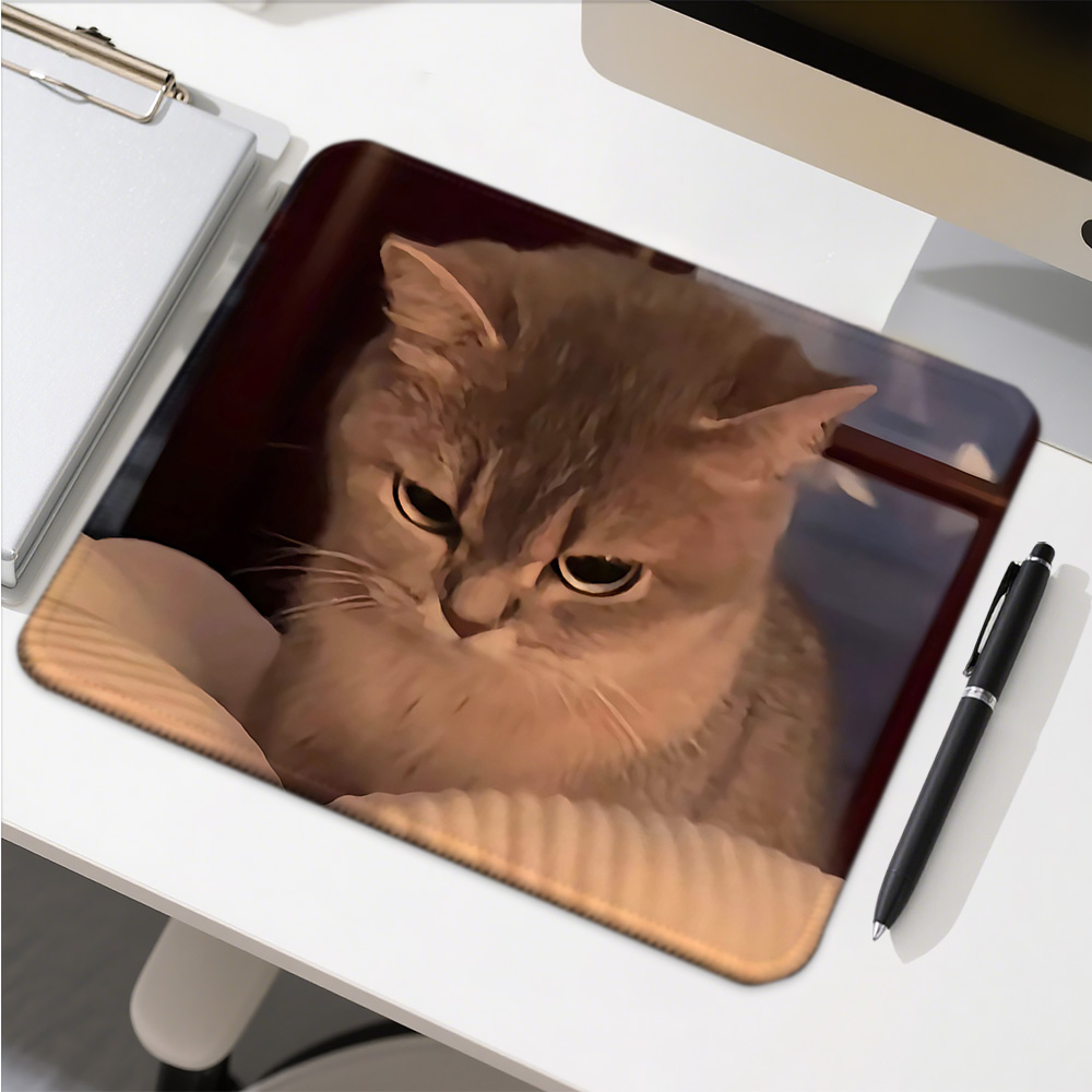 Funny Cat Expressions Computer - Gaming Accessories Companies reseña y precio